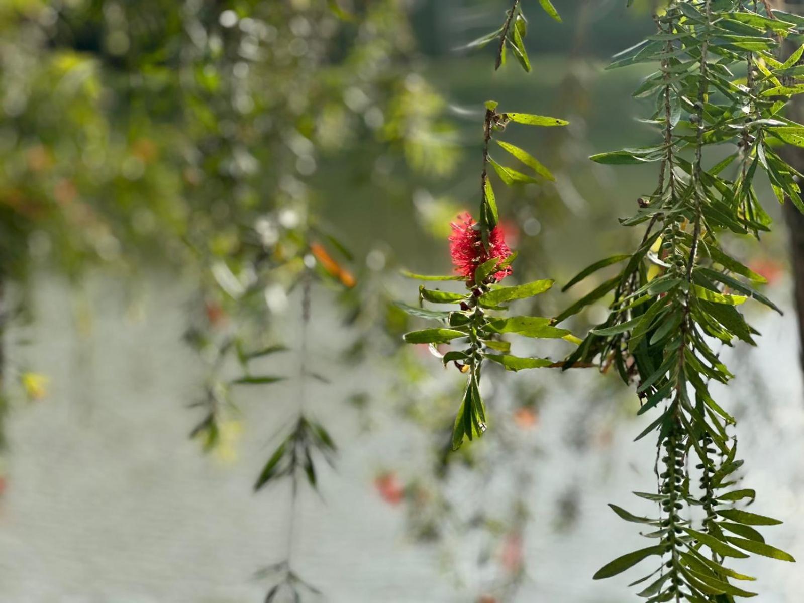 Lakeside Cottage By Clover Nuwara Eliya Kültér fotó
