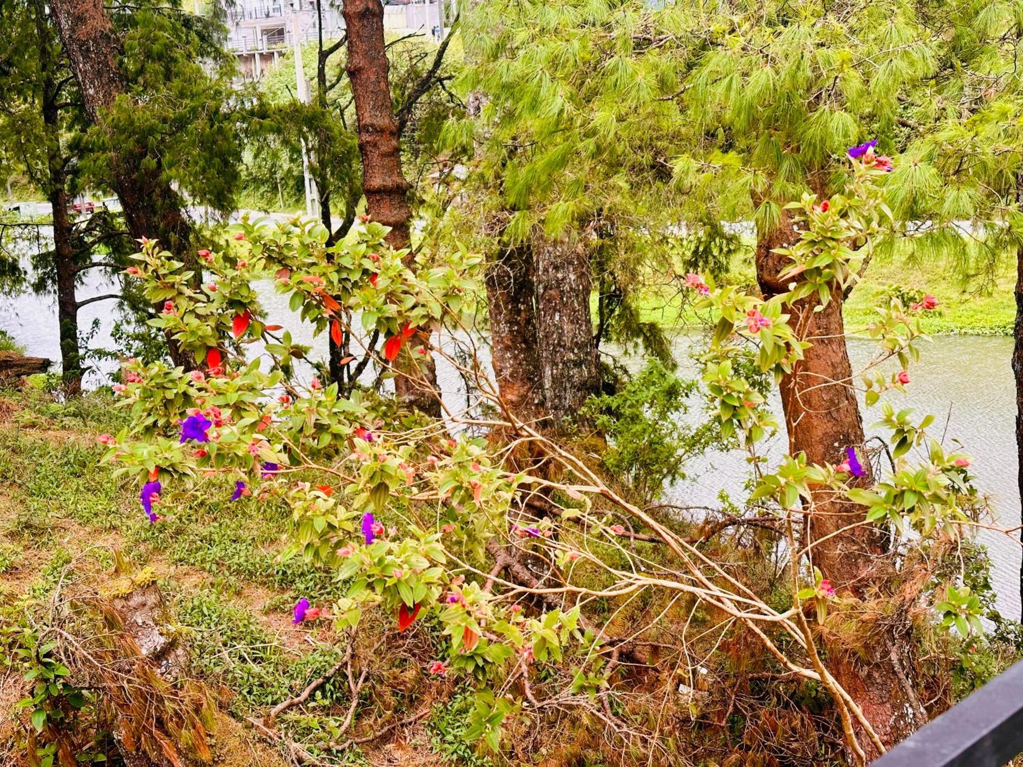 Lakeside Cottage By Clover Nuwara Eliya Kültér fotó