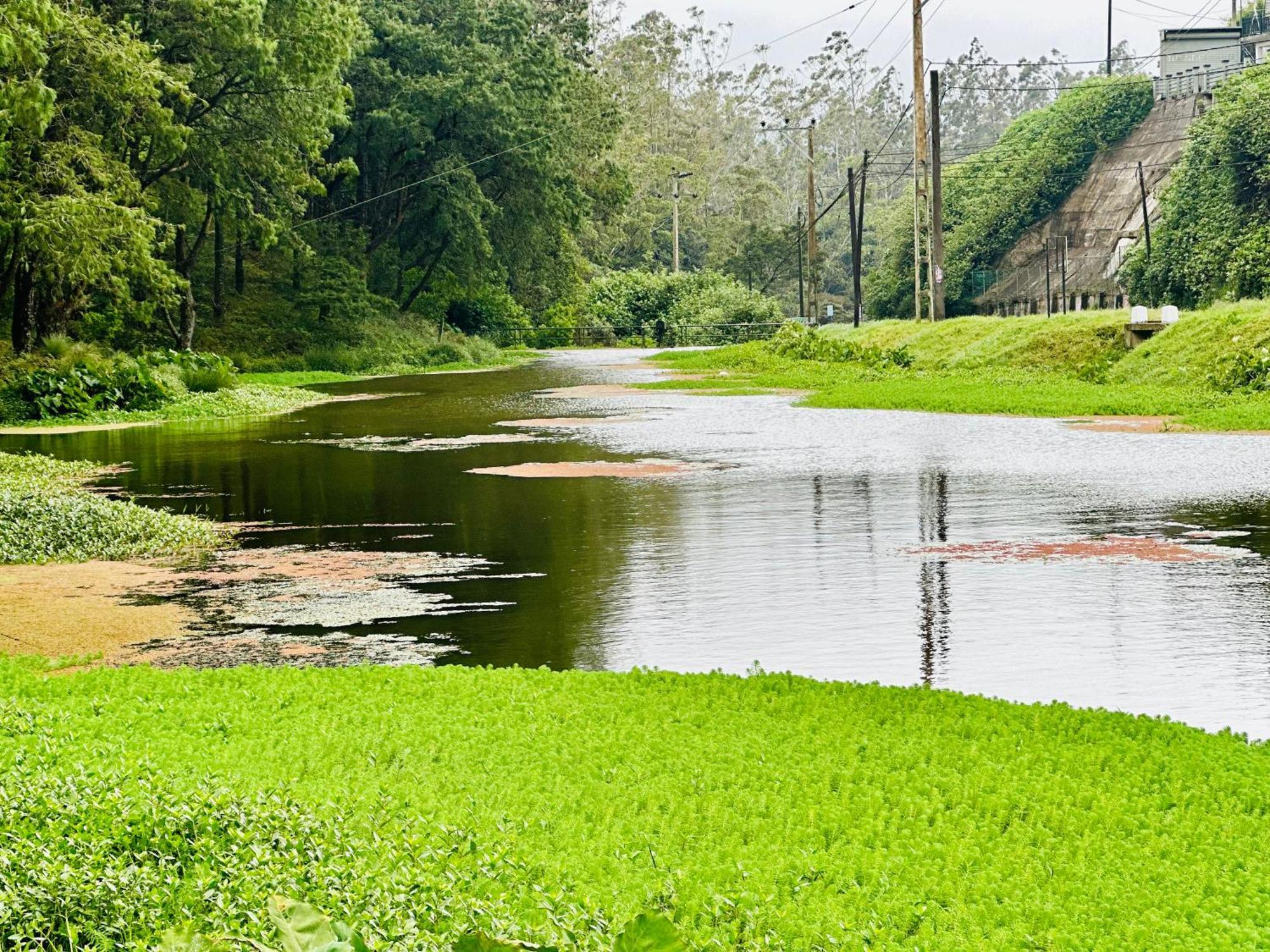 Lakeside Cottage By Clover Nuwara Eliya Kültér fotó